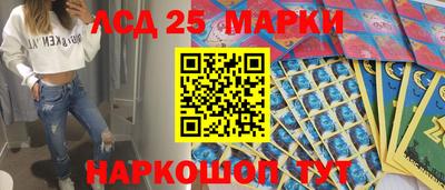 гидра Моздок