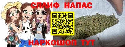 гидра Моздок