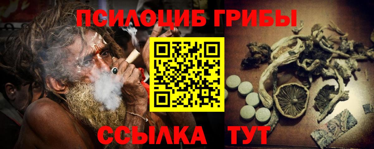 Галлюциногенные грибы Psilocybe Дербент