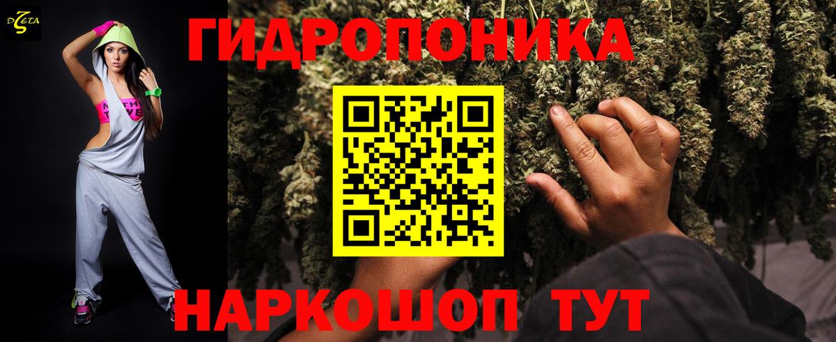 Конопля Bruce Banner Дербент